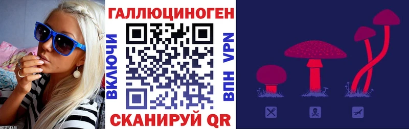 blacksprut зеркало  закладки  Кинель  Псилоцибиновые грибы мицелий 