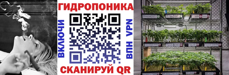 Шишки марихуана ГИДРОПОН  Кинель 